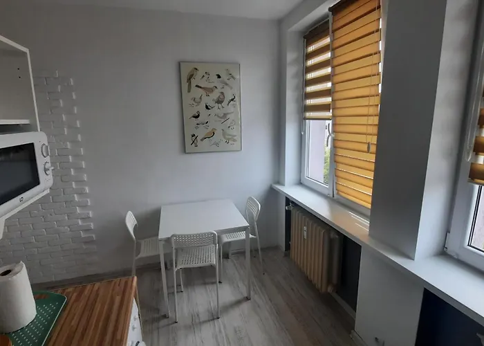 Skyline Serenity * צ'סטוצ'ובה